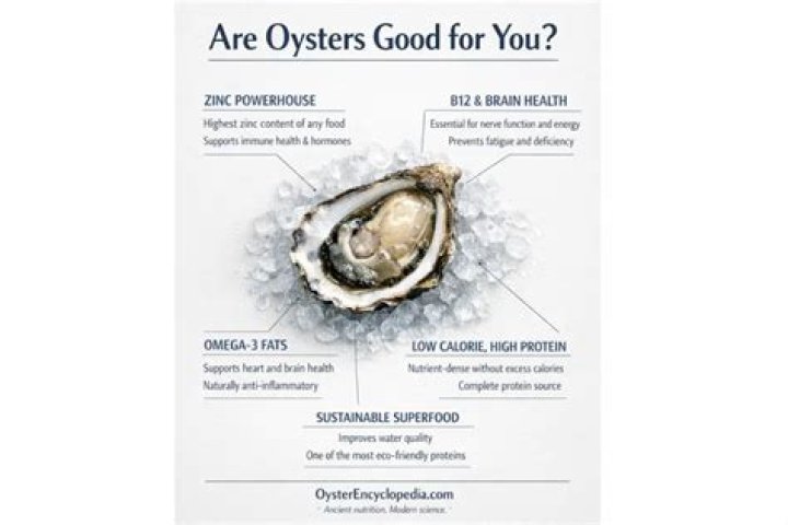 Are oysters good for you