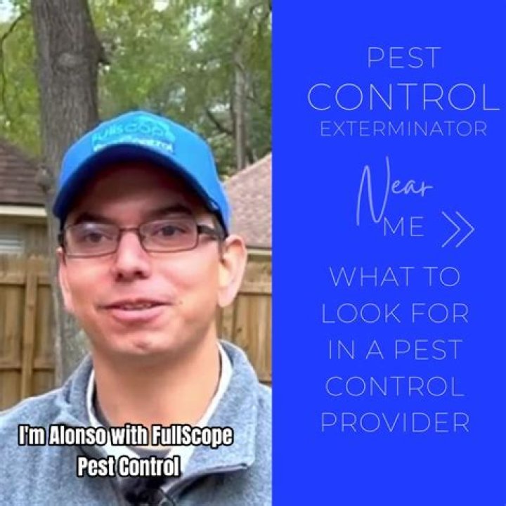 Bug exterminator near me - How To Discuss