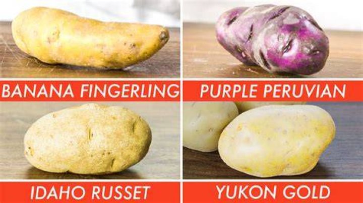 Does potato have an E?