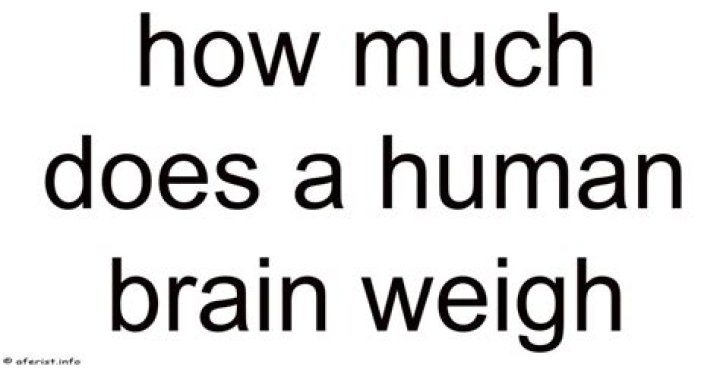 How Much Does A Human Head Weigh