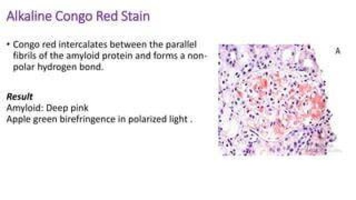 Is Congo Red Polar