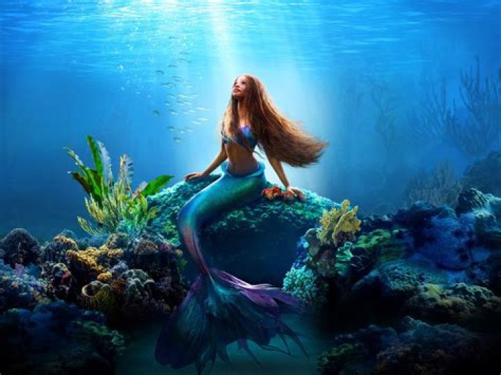 :mermaid: