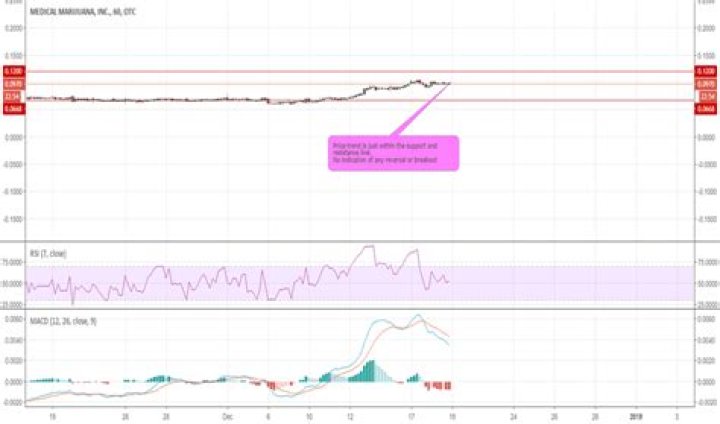 mjna stock