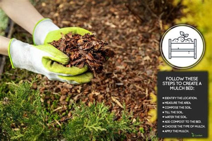 Mulch bed - How To Discuss