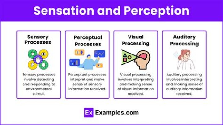 Sensory perception - How To Discuss