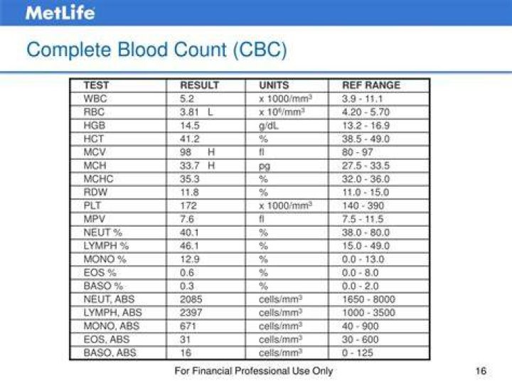 What does a complete blood count show