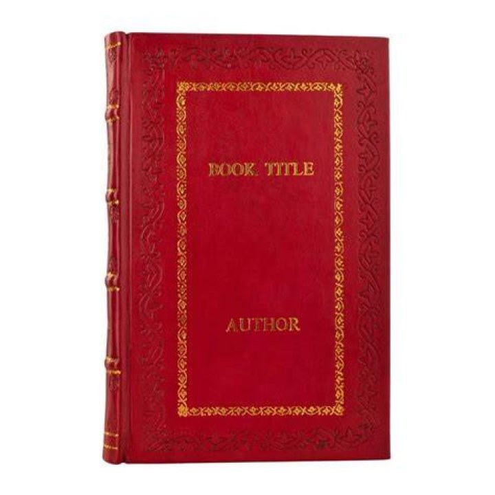 Where does the book Bruiser take place