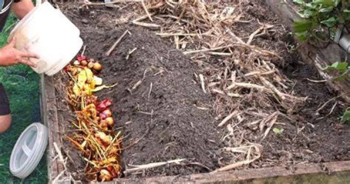Why is organic matter important