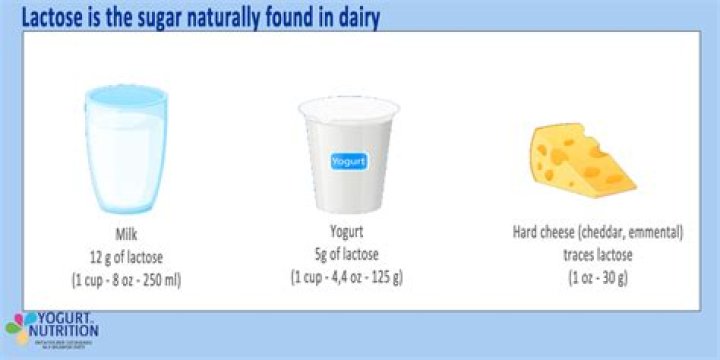 Yogurt lactose - How To Discuss